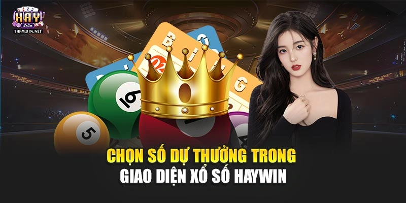 Chọn số dự thưởng trong giao diện xổ số Haywin