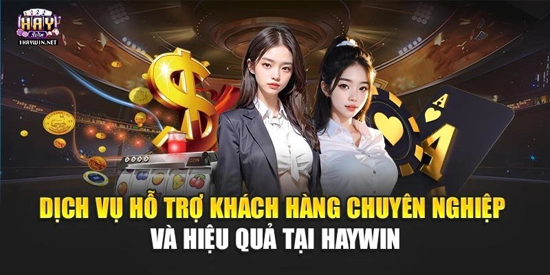 Dịch vụ hỗ trợ khách hàng chuyên nghiệp và hiệu quả tại Haywin