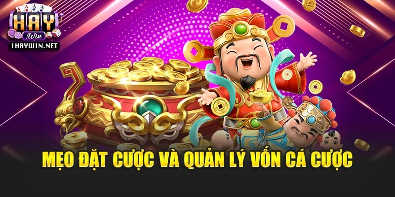 Mẹo đặt cược và quản lý vốn cá cược