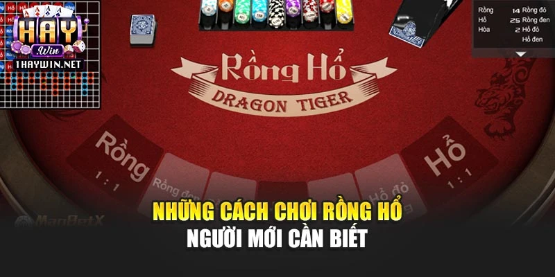 Những cách chơi Rồng Hổ người mới cần biết