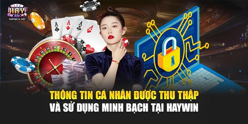 Thông tin cá nhân được thu thập và sử dụng minh bạch tại Haywin