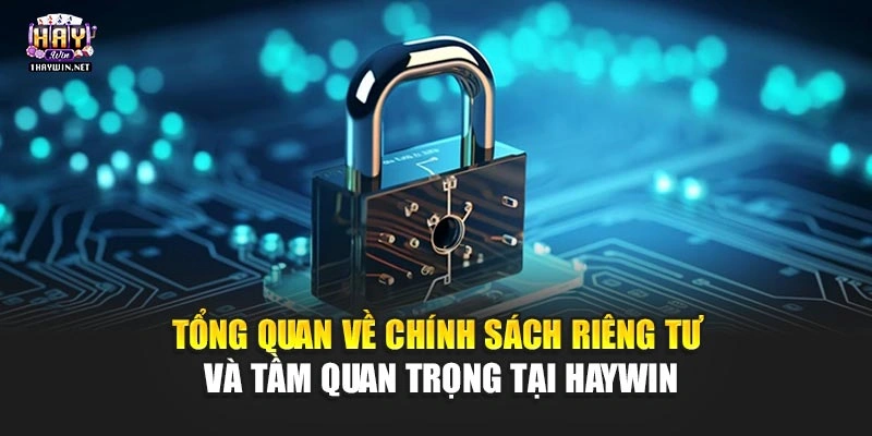 Tổng quan về Chính sách riêng tư và tầm quan trọng tại Haywin
