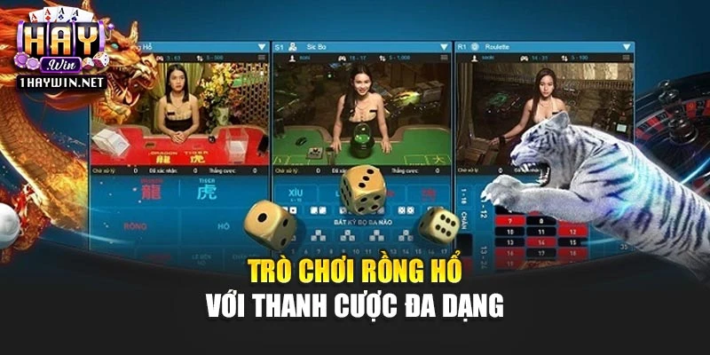 Trò chơi Rồng Hổ với thanh cược đa dạng